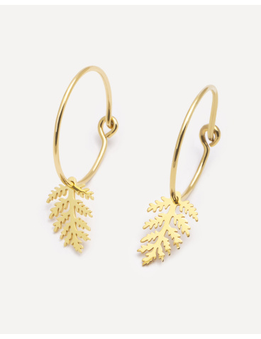 Gold-plated hoops