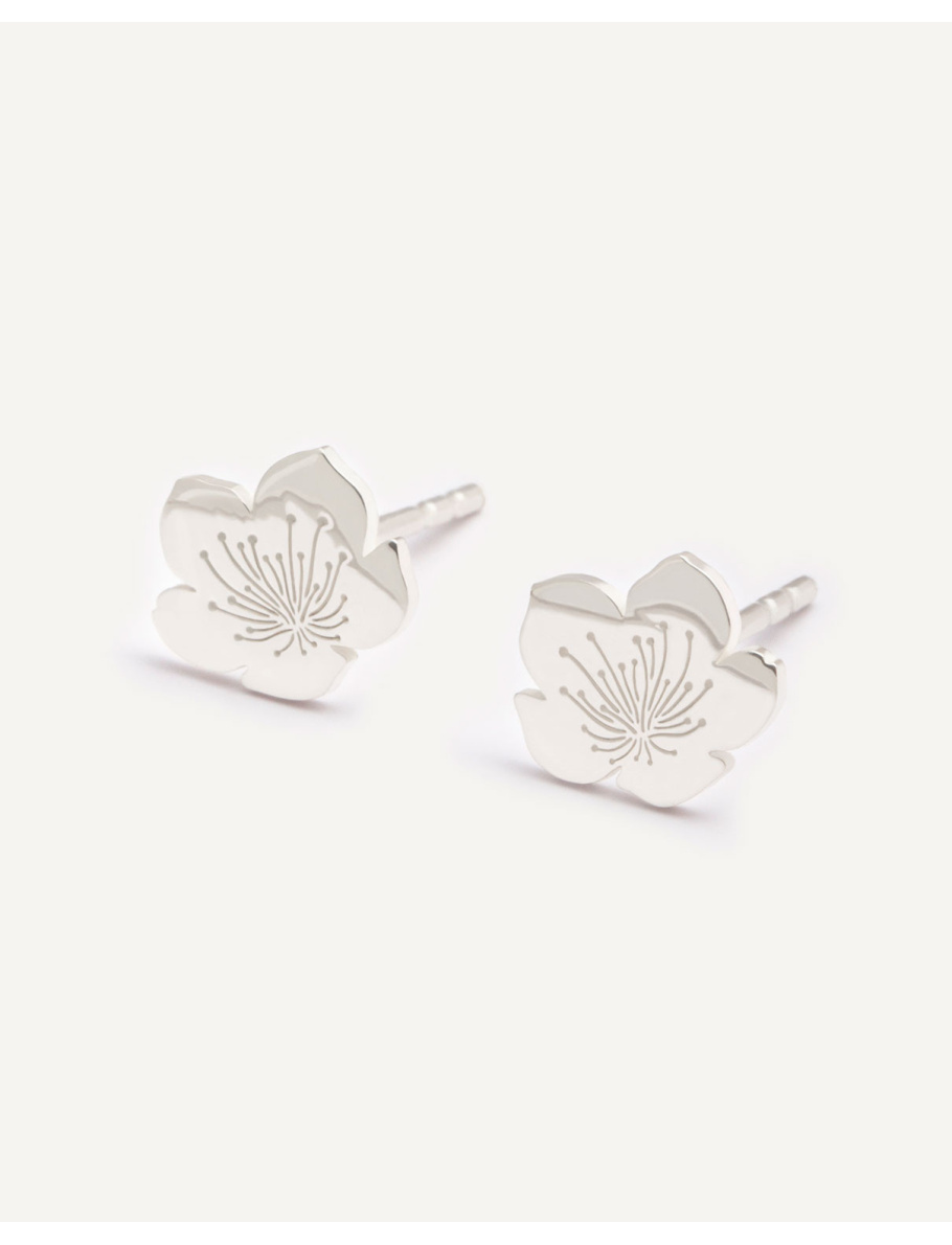 Silver studs